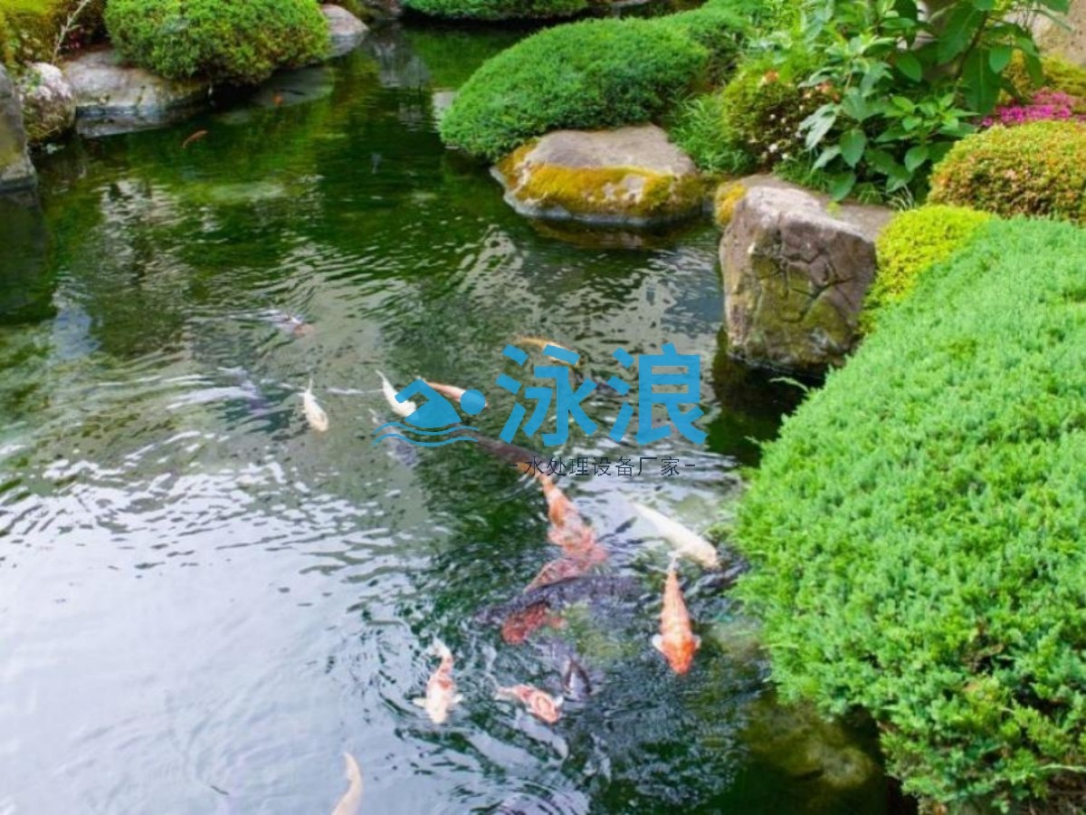 景观池水处理